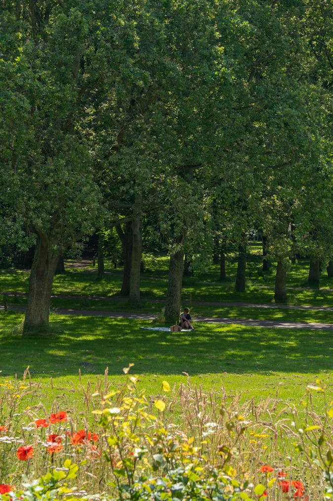 Estate Ockenburg in The Hague