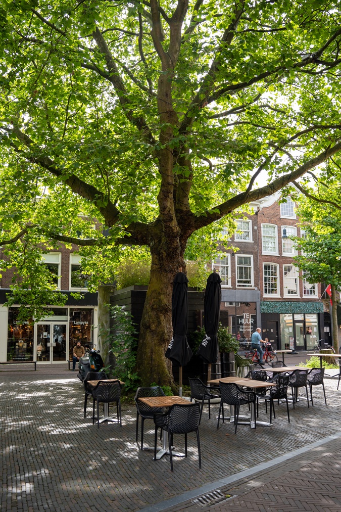 View from our terrace