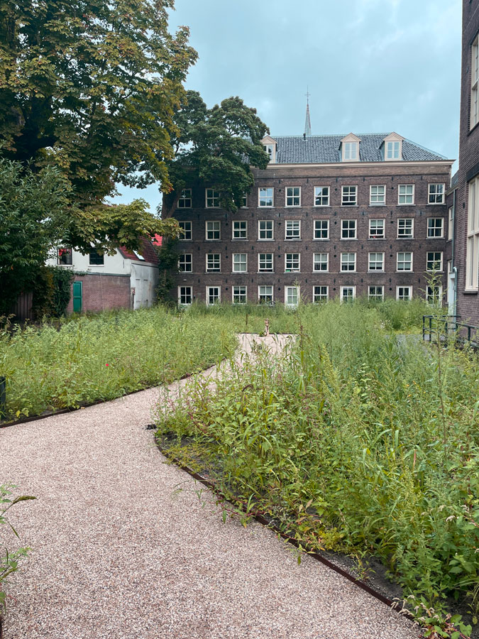 Beautiful building in Haarlem