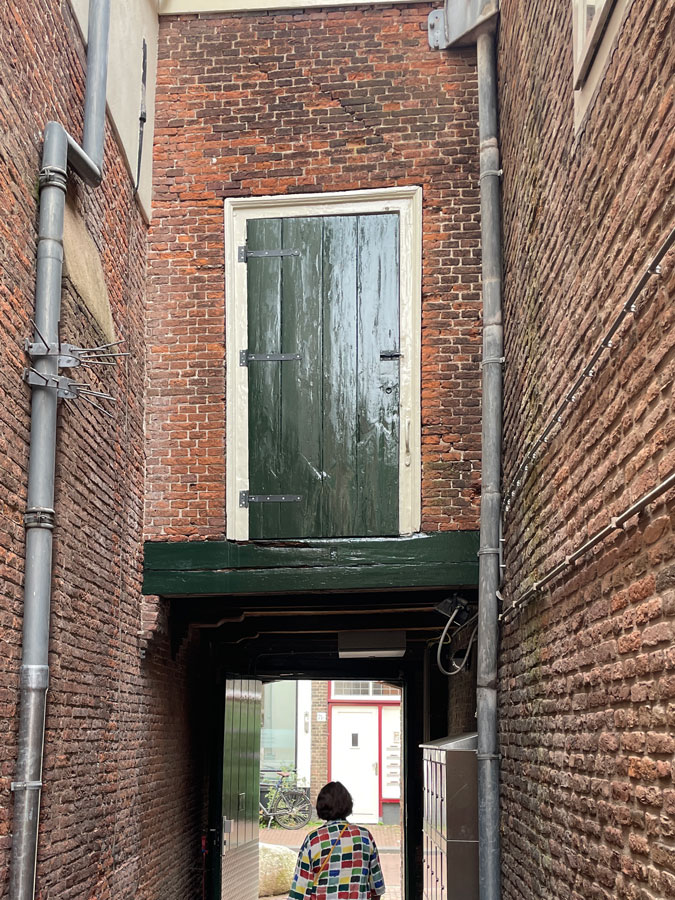 Exit back yard with a strange door high up