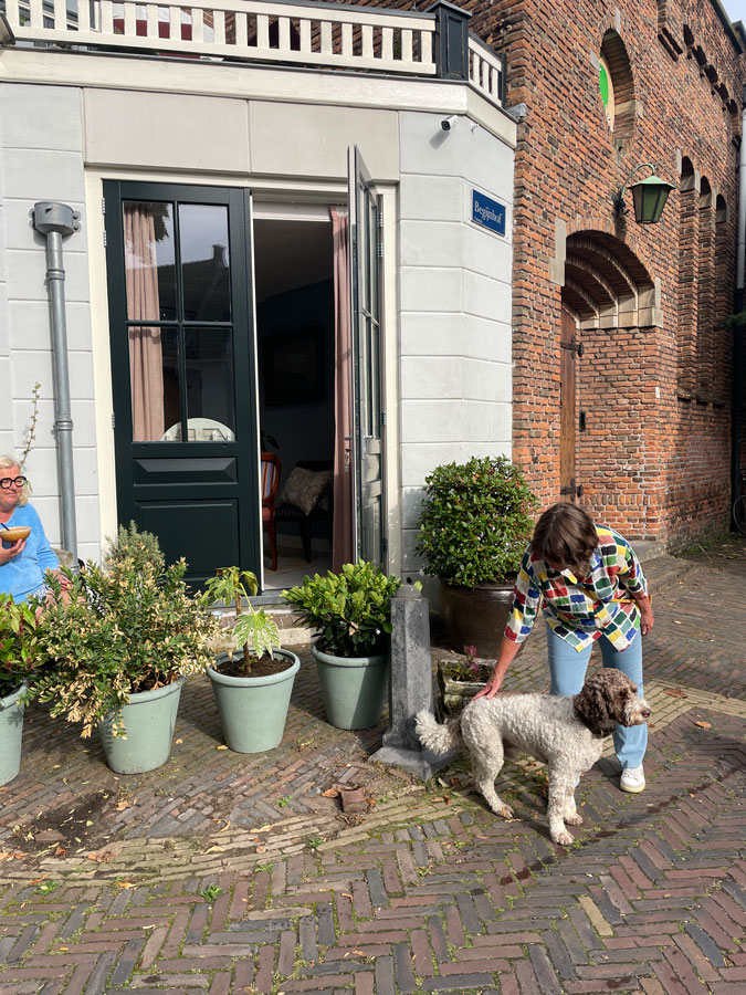 Perfect terrace in the city