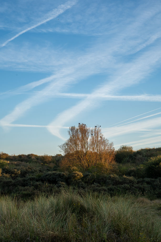 Dunes at the end of the afternoon