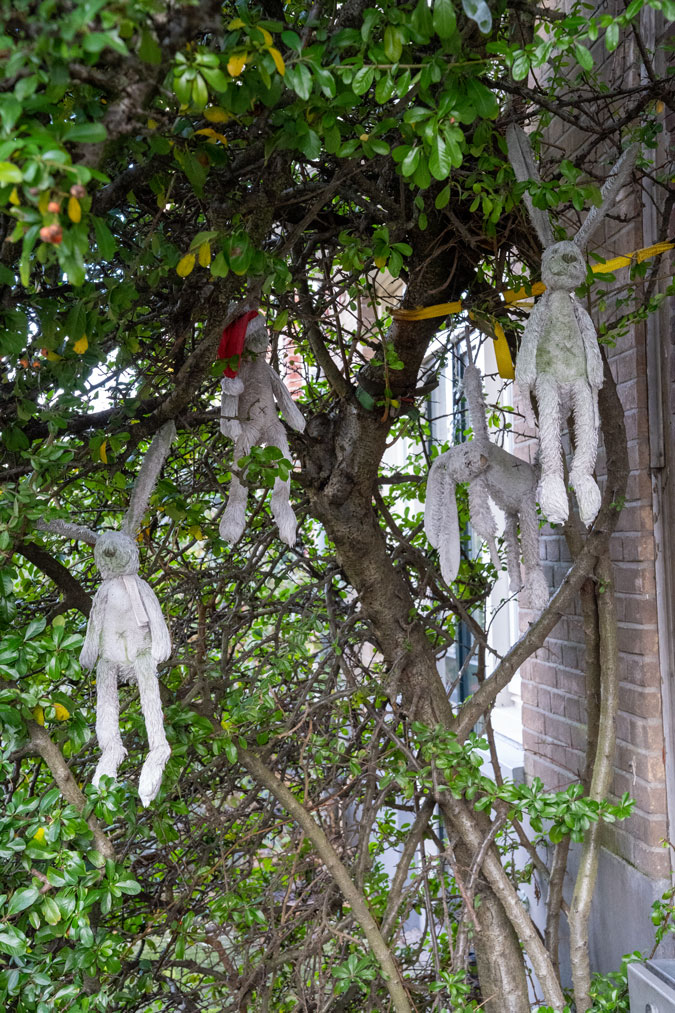 Funny bunnies in a bush