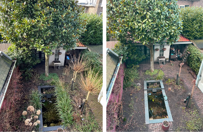 Garden before and after