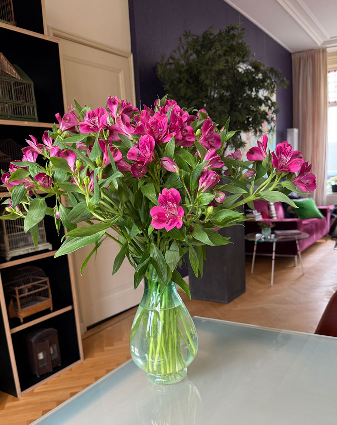 Alstroemeria flowers, Peruvian lily