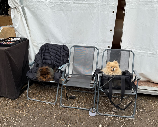 Dogs at Chatou brocante (vintage) fair