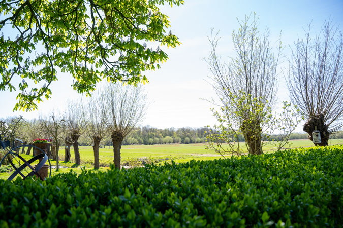 Picturesque landscape near Delft