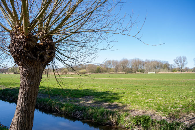 Picturesque landscape near Delft