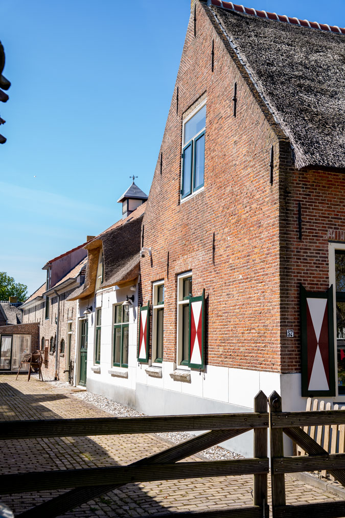 Picturesque houses near Delft