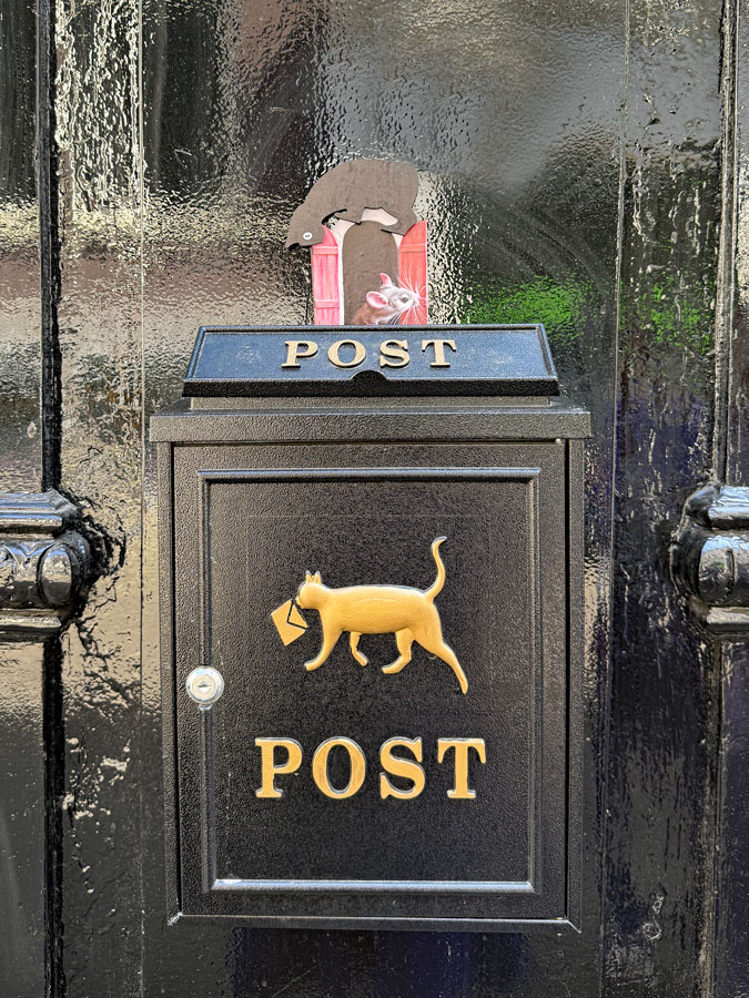 Catty letterbox