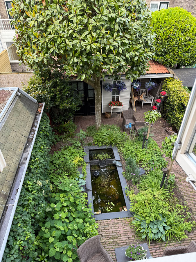 The garden in May 2025