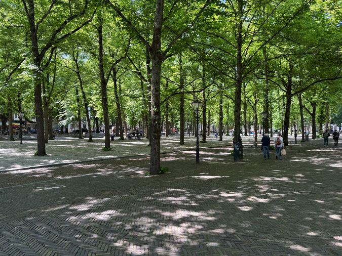 Lange Voorhout The Hague