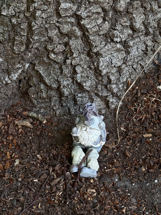 Gnome under a tree