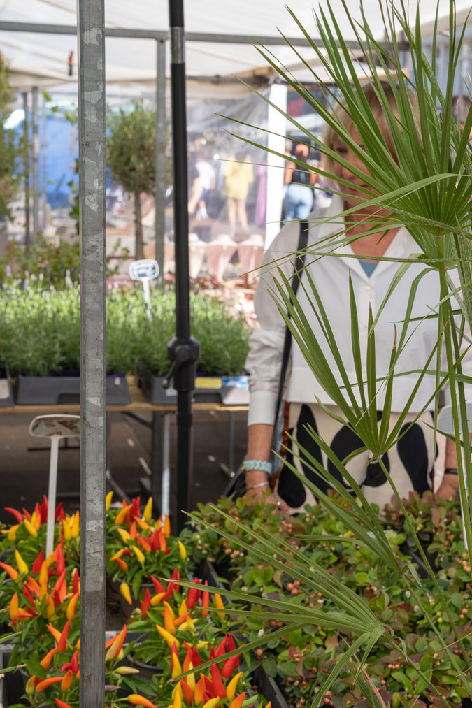 palazzo trousers with a boxy jacket