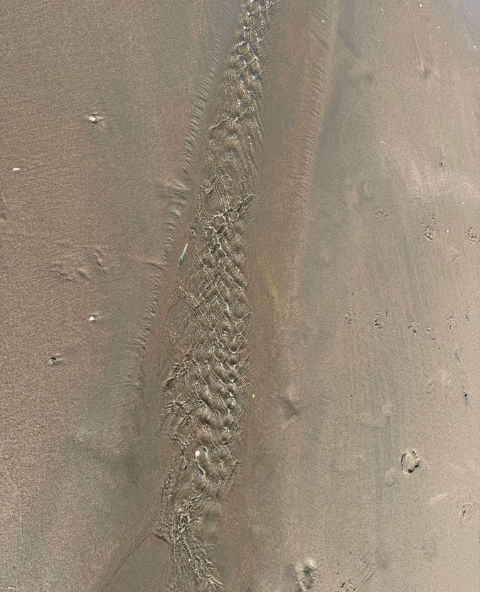 Reflection of the sun in sea water