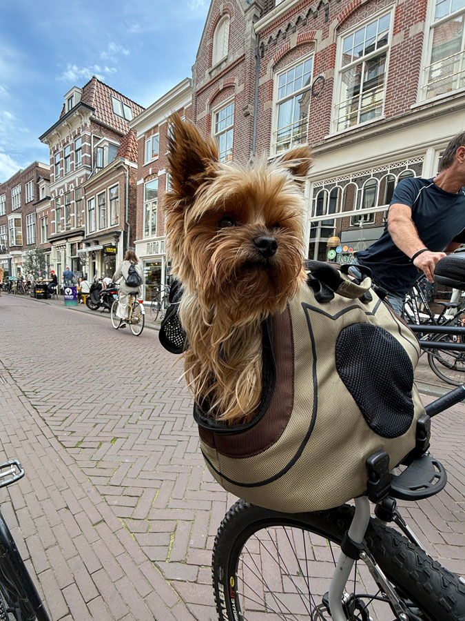 Photo assignment In Touch