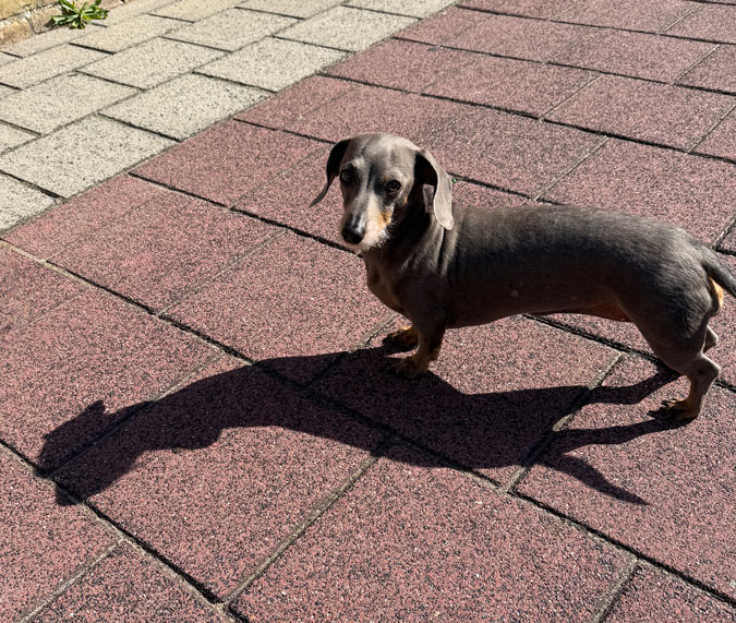 Photo assignment In Touch