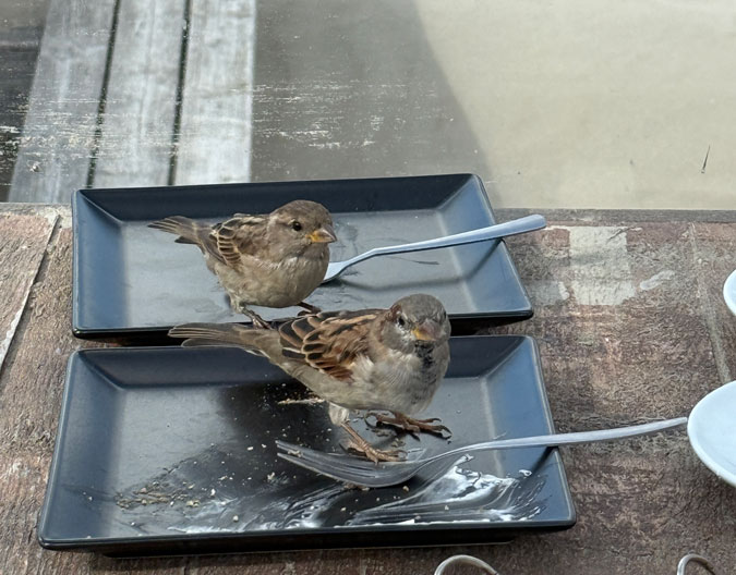 Photo assignment In Touch