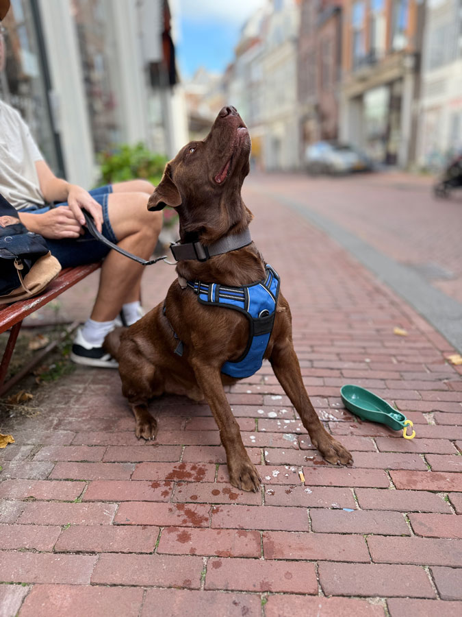 Photo assignment In Touch