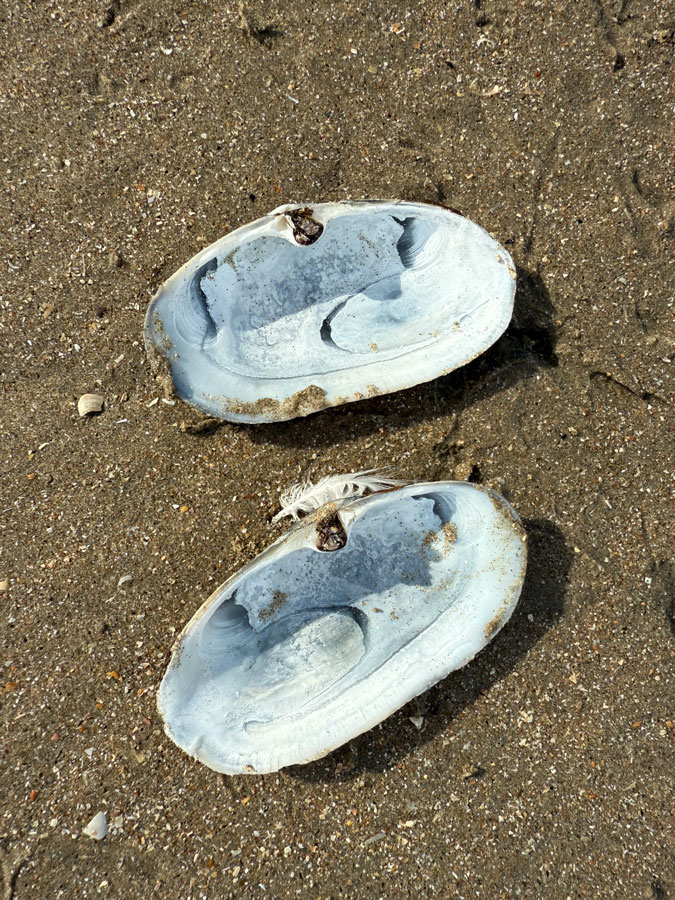 Photo assignment Series: Beach