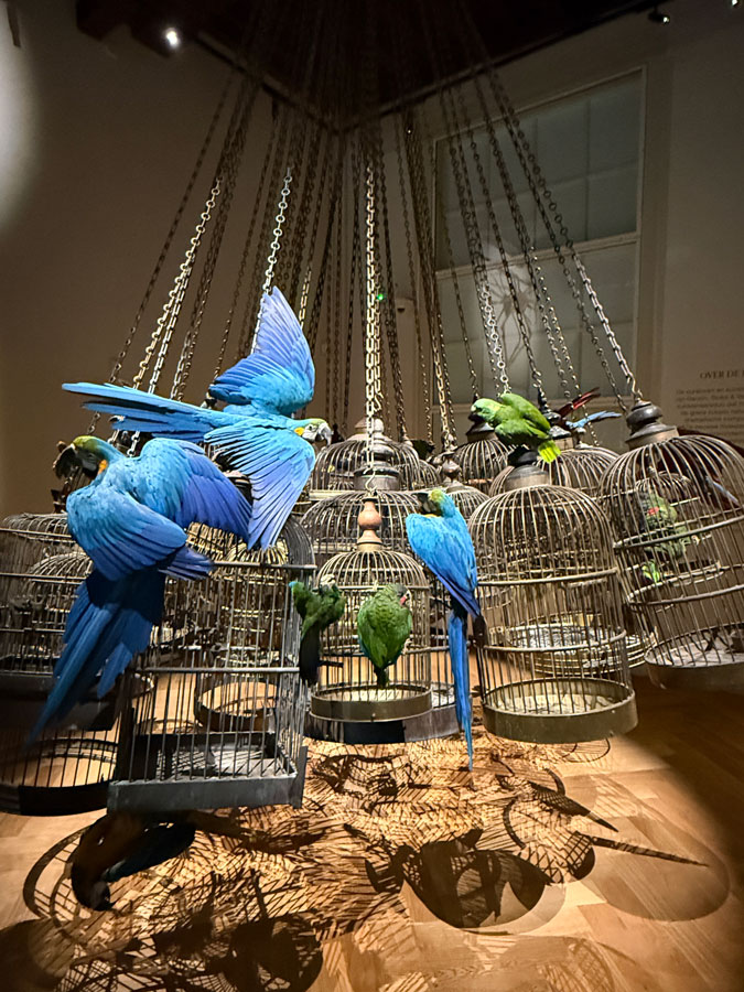 Baroque taxidermy art at Art Zoo Museum Amsterdam