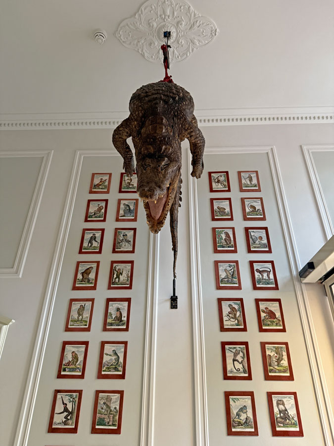 Baroque taxidermy art at Art Zoo Museum Amsterdam