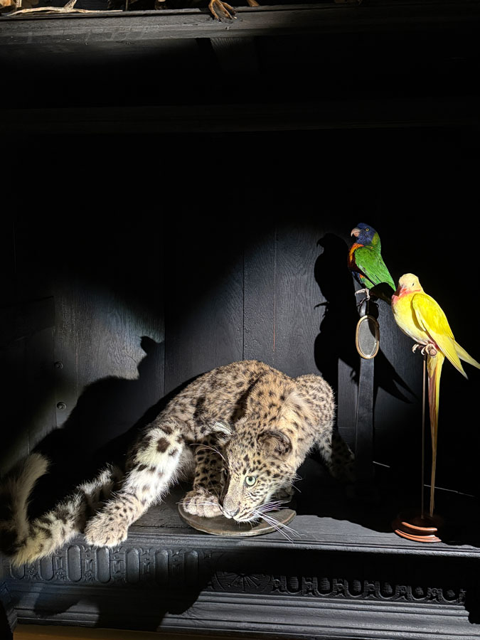 Baroque taxidermy art at Art Zoo Museum Amsterdam