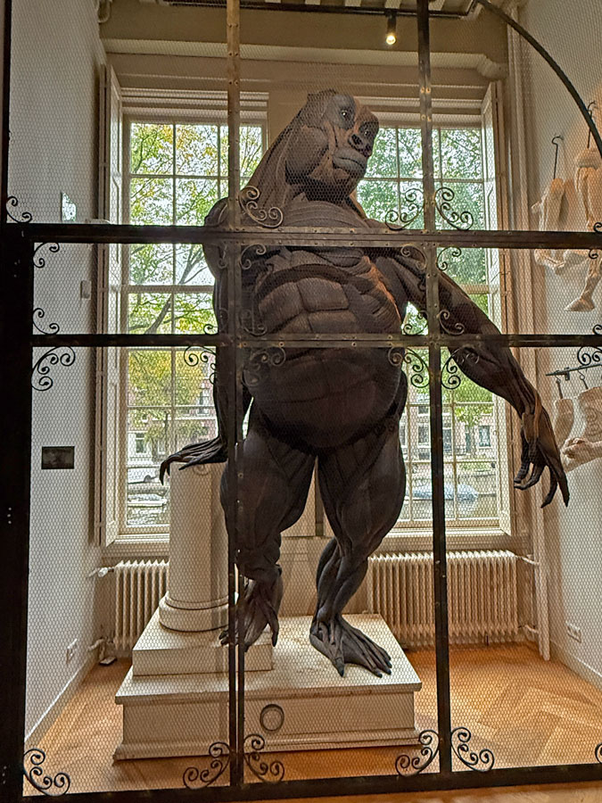 Monkey made from jeans