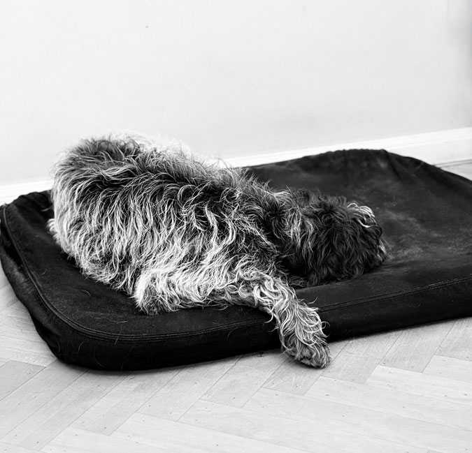 Photo Assignment Black and white, contrast