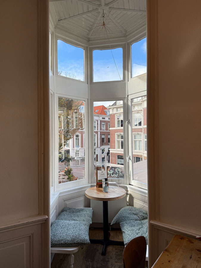 View on Anna Paulownaplein