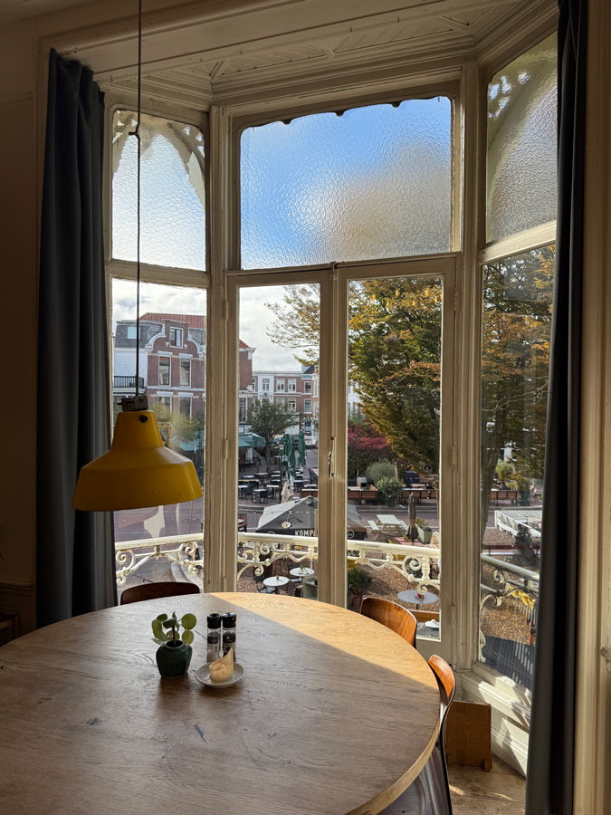 View on Anna Paulownaplein