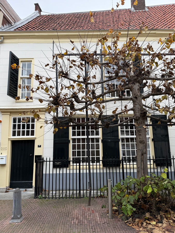 House in Leiden