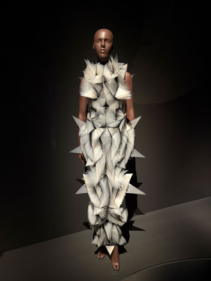 Dress by Iris van Herpen
