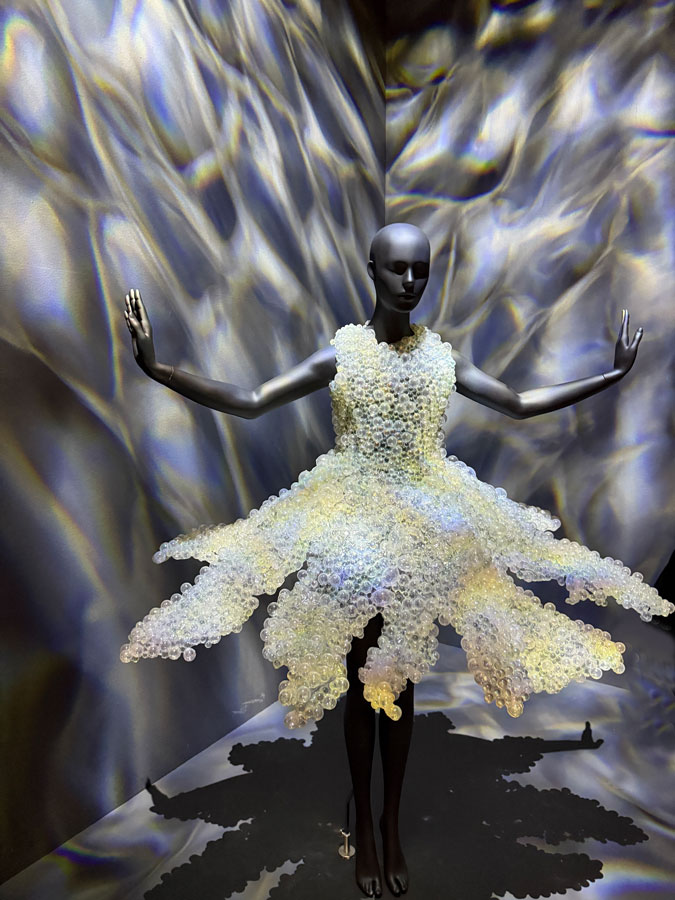 Dress by Iris van Herpen