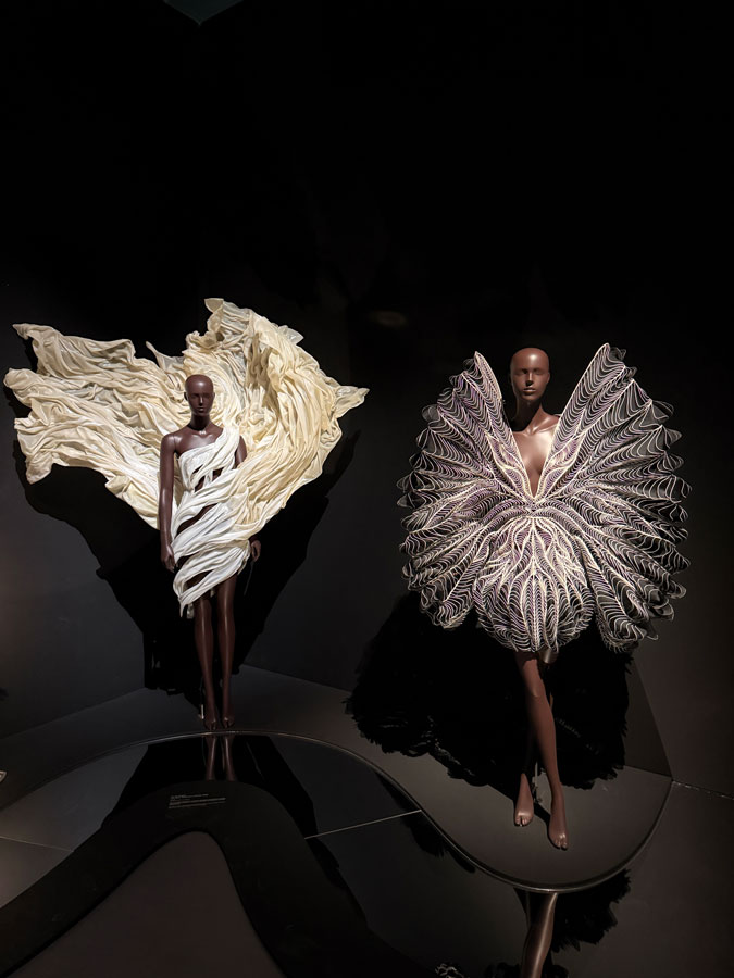 Dresses by Iris van Herpen