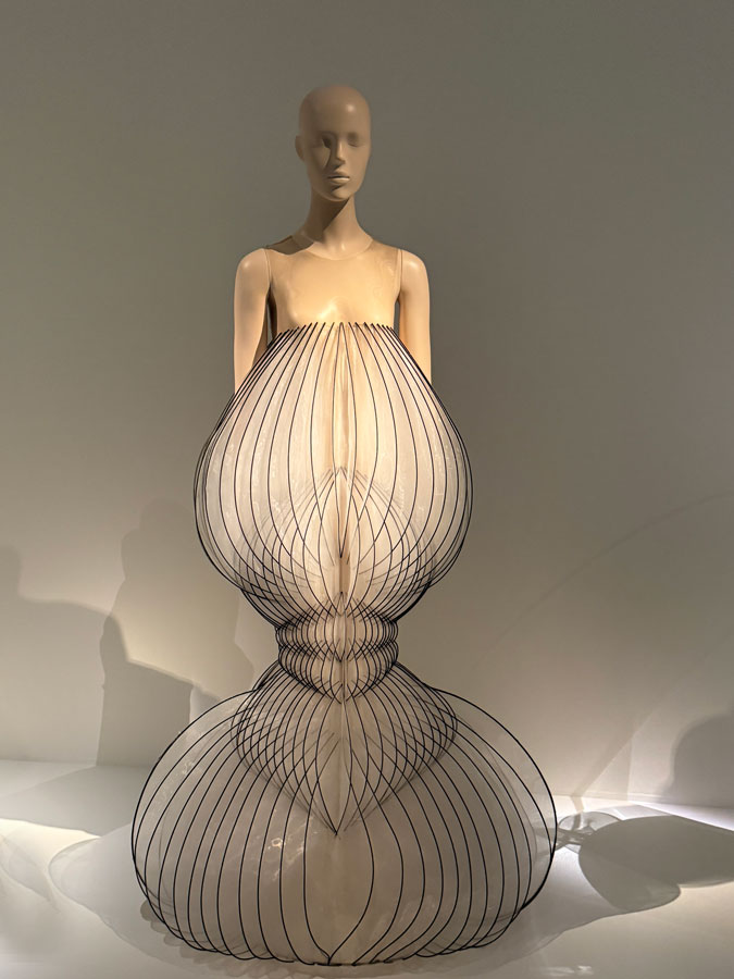 Dress by Iris van Herpen