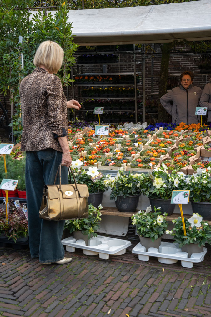 Leopard blazer with jeans