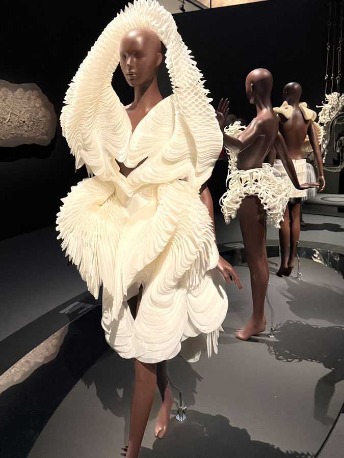 Morphogenesis dress by Iris van Herpen