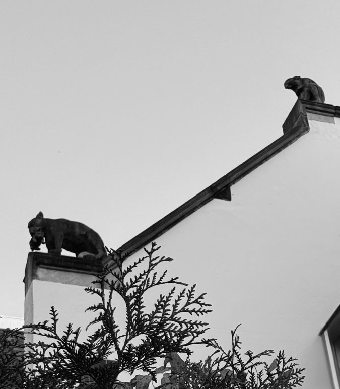 Photo Assignment black and white